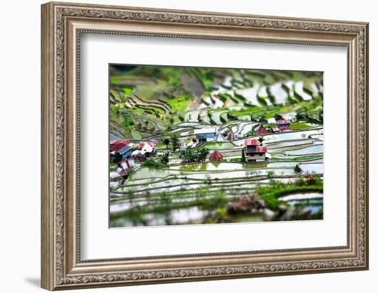 Amazing Tilt Shift Effect View of Rice Terraces Fields and Village Houses in Ifugao Province Mounta-Perfect Lazybones-Framed Photographic Print