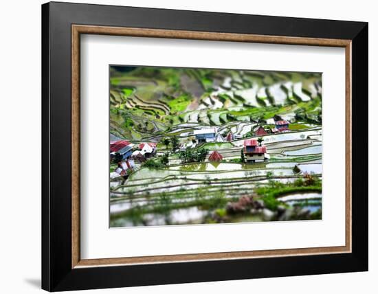 Amazing Tilt Shift Effect View of Rice Terraces Fields and Village Houses in Ifugao Province Mounta-Perfect Lazybones-Framed Photographic Print