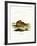 Amazon Cougar-null-Framed Giclee Print