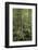 Amazon National Park, Peru. Ficus tree with buttress roots in the rainforest.-Janet Horton-Framed Photographic Print