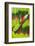 Amazon Parrot Tail Feather Design-Darrell Gulin-Framed Photographic Print