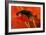 Amazon Piranha-John Newcomb-Framed Giclee Print