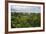 Amazon Rainforest at Sacha Lodge, Coca, Ecuador, South America-Matthew Williams-Ellis-Framed Photographic Print