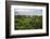 Amazon Rainforest at Sacha Lodge, Coca, Ecuador, South America-Matthew Williams-Ellis-Framed Photographic Print