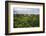 Amazon Rainforest at Sacha Lodge, Coca, Ecuador, South America-Matthew Williams-Ellis-Framed Photographic Print