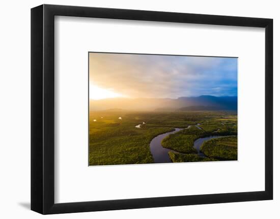 Amazon Rainforest in Brazil-null-Framed Photographic Print