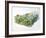 Amazon Rainforest-null-Framed Giclee Print