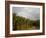 Amazon, Rio Tapajos, A Tributary of Rio Tapajos Which Is Itself a Tributary of Amazon, Brazil-Mark Hannaford-Framed Photographic Print