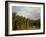 Amazon, Rio Tapajos, A Tributary of Rio Tapajos Which Is Itself a Tributary of Amazon, Brazil-Mark Hannaford-Framed Photographic Print