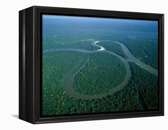 Amazon River, Amazon Jungle, Aerial View, Brazil-Steve Vidler-Framed Premier Image Canvas