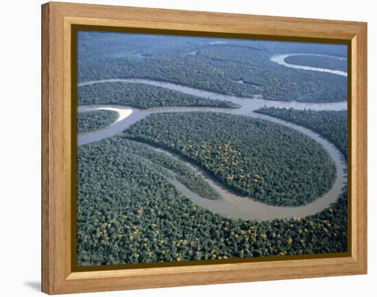 Amazon River, Amazon Jungle, Brazil-null-Framed Premier Image Canvas