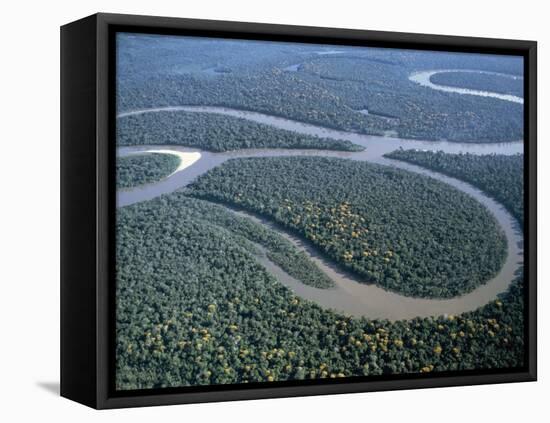 Amazon River, Amazon Jungle, Brazil-null-Framed Premier Image Canvas