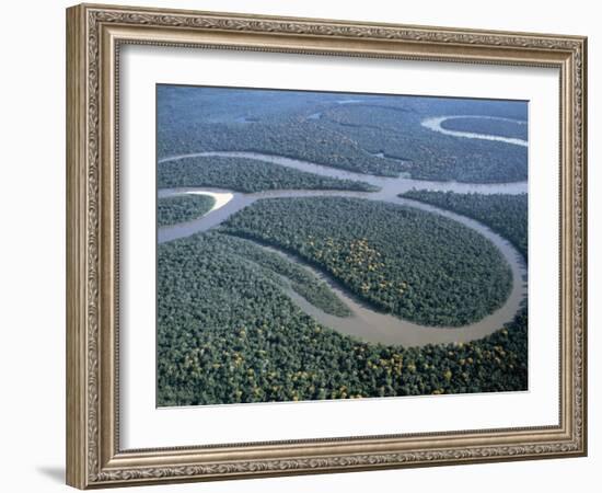 Amazon River, Amazon Jungle, Brazil-null-Framed Photographic Print