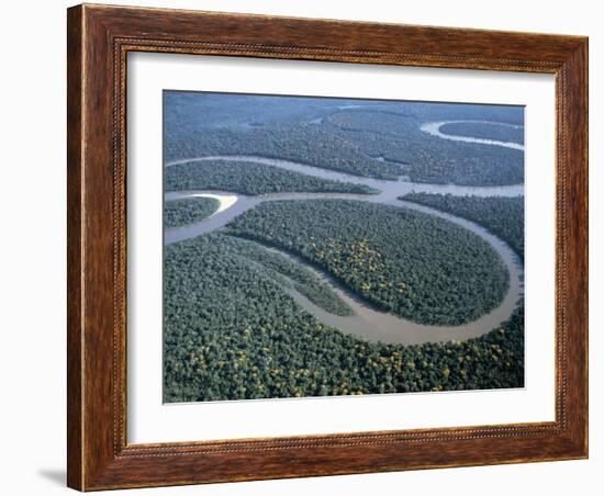 Amazon River, Amazon Jungle, Brazil-null-Framed Photographic Print