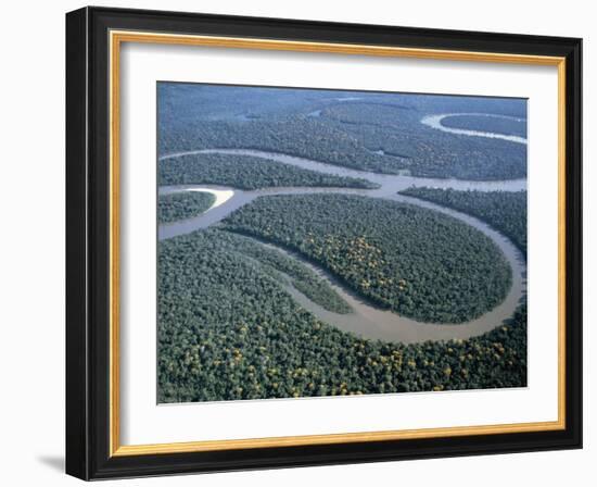 Amazon River, Amazon Jungle, Brazil-null-Framed Photographic Print