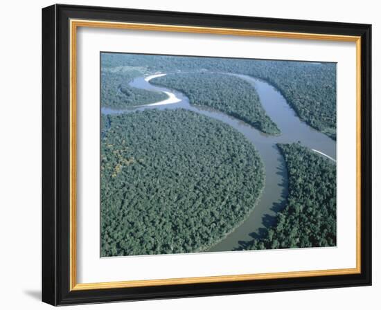 Amazon River, Amazon Jungle, Brazil-null-Framed Photographic Print