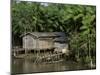 Amazon Rivers Furo de Breves Para, Brazil-null-Mounted Photographic Print