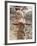 Amazon Road-John Dominis-Framed Photographic Print