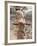 Amazon Road-John Dominis-Framed Photographic Print