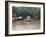 Amazon Village, Brazil, South America-Richardson Rolf-Framed Photographic Print