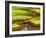 Amazon Water Lilies, Thailand-Gavriel Jecan-Framed Photographic Print