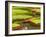 Amazon Water Lilies, Thailand-Gavriel Jecan-Framed Photographic Print