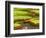 Amazon Water Lilies, Thailand-Gavriel Jecan-Framed Photographic Print