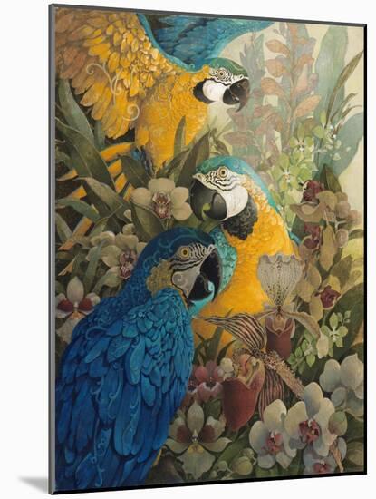 Amazon-David Galchutt-Mounted Giclee Print