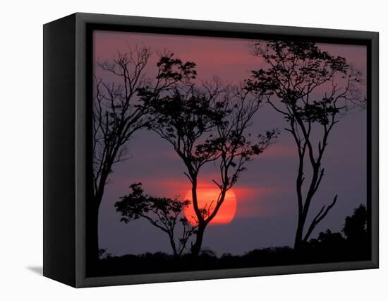 Amazonia Sunset-Art Wolfe-Framed Premier Image Canvas