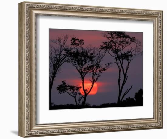 Amazonia Sunset-Art Wolfe-Framed Photographic Print