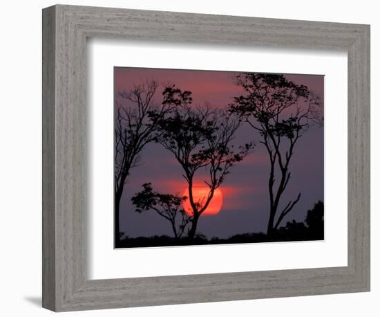 Amazonia Sunset-Art Wolfe-Framed Photographic Print