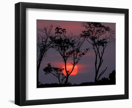 Amazonia Sunset-Art Wolfe-Framed Photographic Print