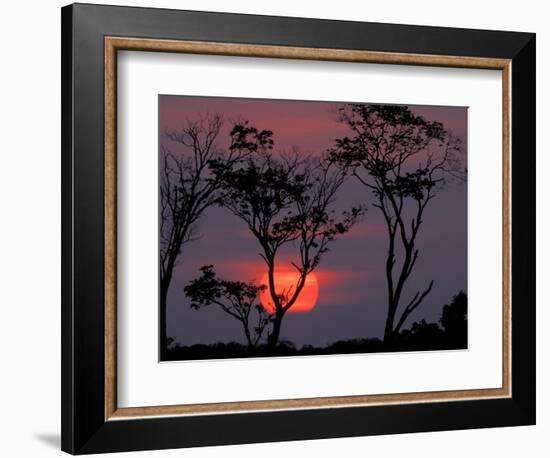 Amazonia Sunset-Art Wolfe-Framed Photographic Print