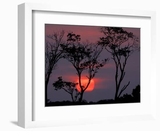 Amazonia Sunset-Art Wolfe-Framed Photographic Print