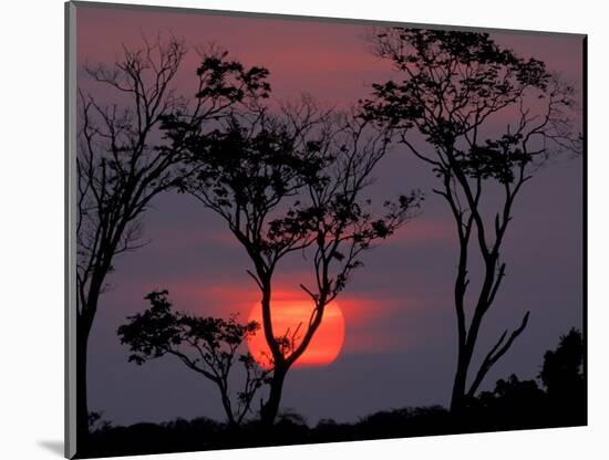 Amazonia Sunset-Art Wolfe-Mounted Photographic Print