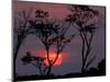 Amazonia Sunset-Art Wolfe-Mounted Photographic Print
