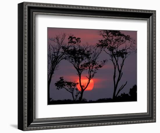Amazonia Sunset-Art Wolfe-Framed Photographic Print