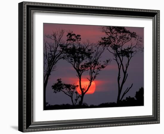Amazonia Sunset-Art Wolfe-Framed Photographic Print