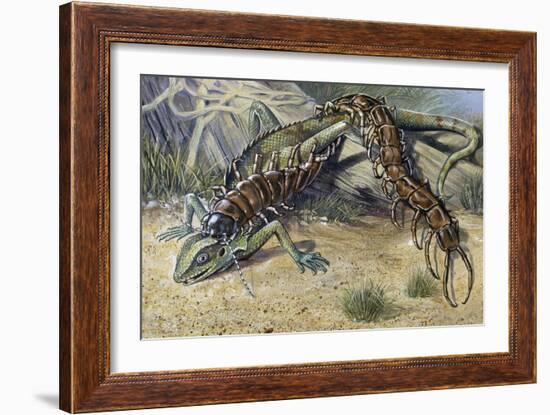 Amazonian Giant Centipede (Scolopendra Gigantea), Scolopendridae-null-Framed Giclee Print