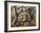 Amazonian Snail-Eater (Dipsas Indica), Colubridae-null-Framed Giclee Print