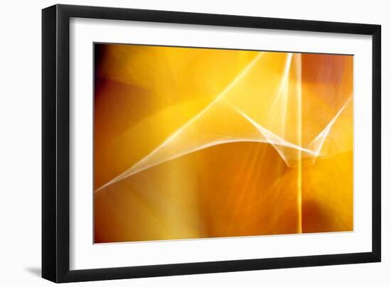 Amber Abstract I-Douglas Taylor-Framed Photographic Print