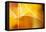 Amber Abstract II-Douglas Taylor-Framed Premier Image Canvas