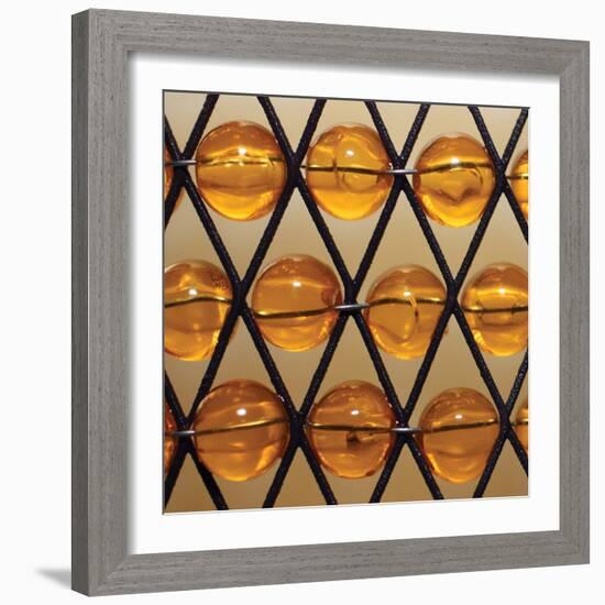 Amber Beads-Tammy Putman-Framed Photographic Print