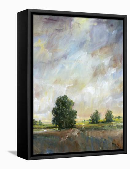 Amber Glow I-Tim O'toole-Framed Stretched Canvas