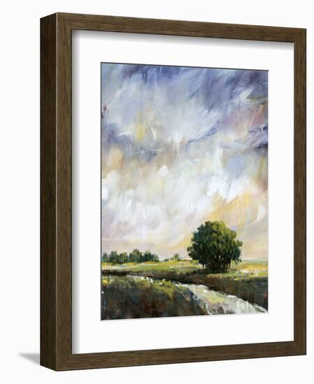 Amber Glow II-Tim O'toole-Framed Art Print