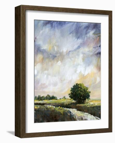 Amber Glow II-Tim O'toole-Framed Art Print