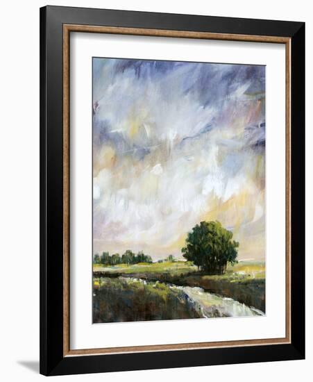 Amber Glow II-Tim O'toole-Framed Art Print