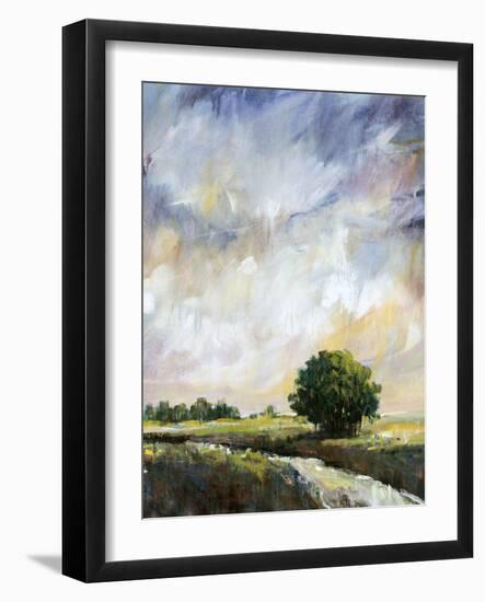 Amber Glow II-Tim O'toole-Framed Art Print