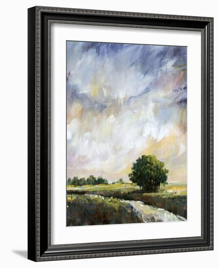 Amber Glow II-Tim O'toole-Framed Art Print