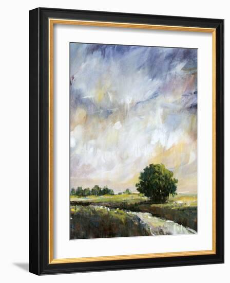 Amber Glow II-Tim O'toole-Framed Art Print